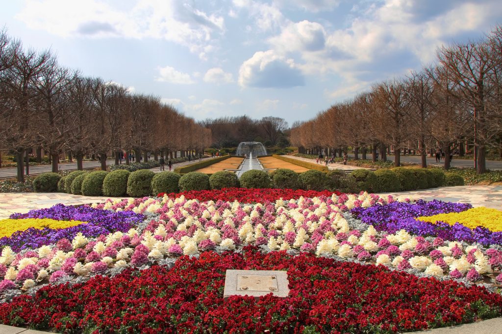 showa kinen park with flowers and a pond in the background